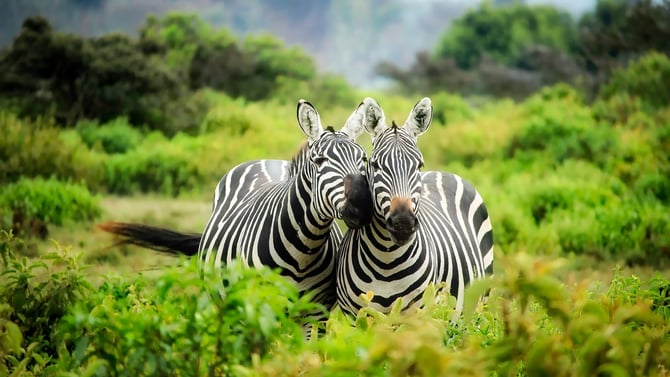 ZooWorld Zoological Park