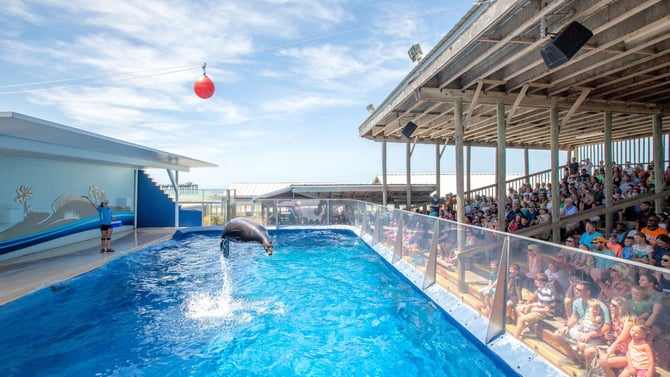 Gulfarium Marine Adventure Park