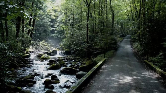 Roaring Fork Motor Nature Trail